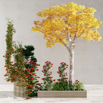 新中式树木 植物盆栽