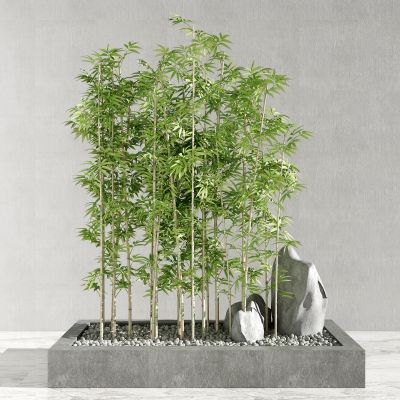 新中式竹子盆栽