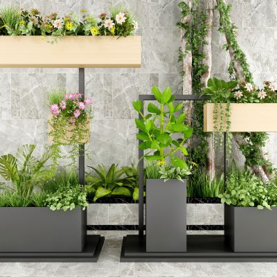 现代户外花箱花架盆栽