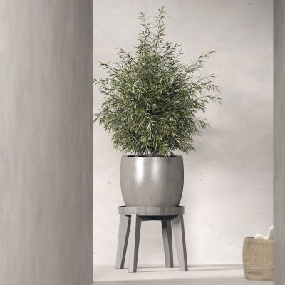 现代盆景盆栽组合