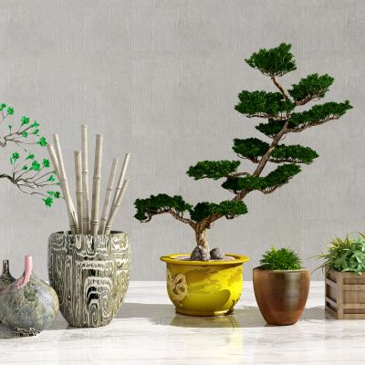 新中式绿植盆栽组合