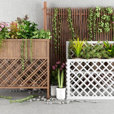 户外道路植物花架花圃