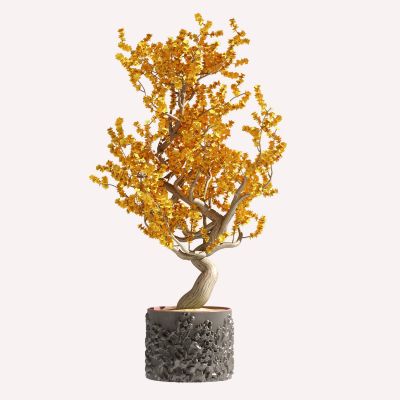 新中式植物盆栽