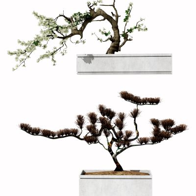 新中式植物盆栽