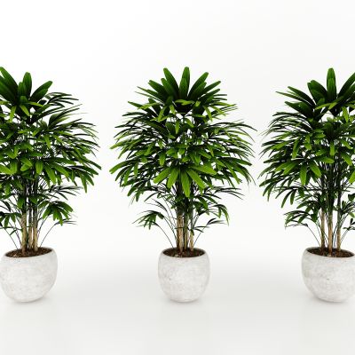 现代风格装植物