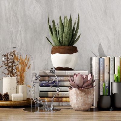 现代多肉书籍饰品摆件