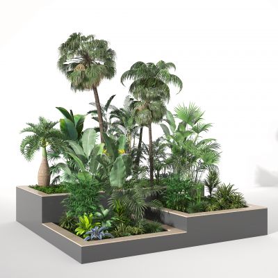 现代花钵 景观树