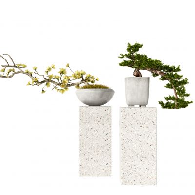 新中式植物盆栽