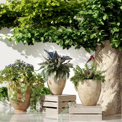 新中式植物盆栽  树木