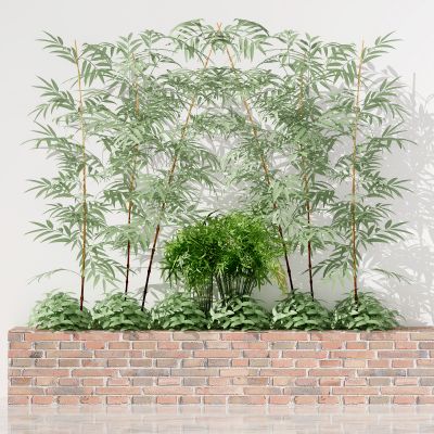 新中式植物 竹子