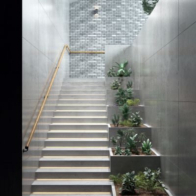 现代过道 盆栽