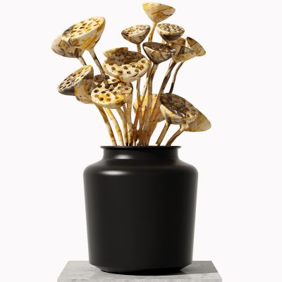 新中式莲蓬干枝摆件