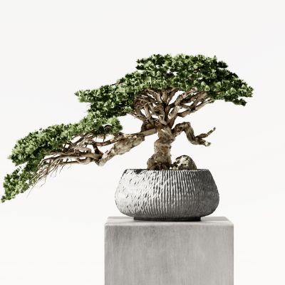 新中式植物盆景摆件