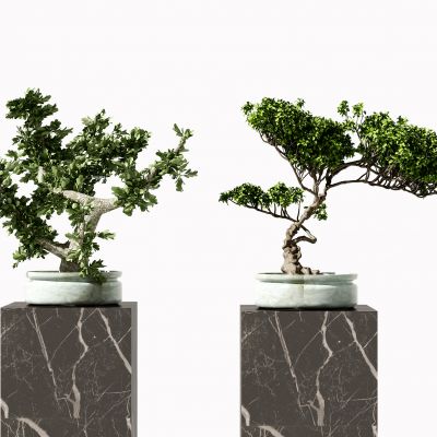 新中式植物盆栽