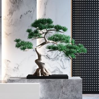 新中式松树 盆景