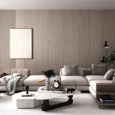 现代沙发茶几组合