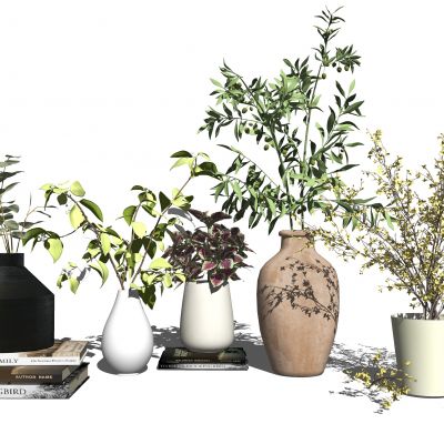 现代盆栽花瓶植物摆件书籍装饰品SU模型