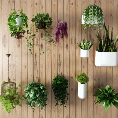 新中式盆栽 吊篮