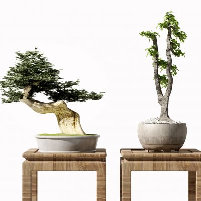 新中式盆栽