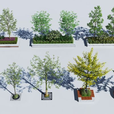 现代绿化池景观树