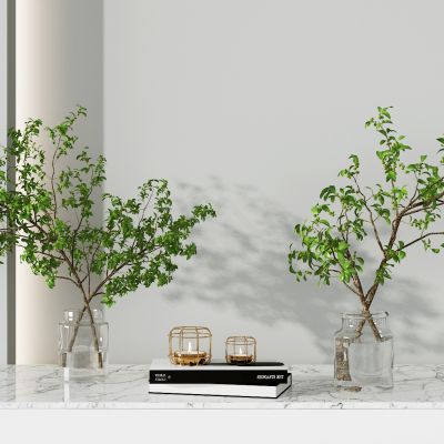 现代水生植物玻璃花瓶,饰品摆件