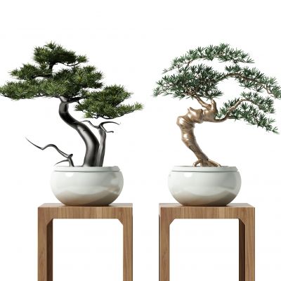 新中式植物盆栽盆景