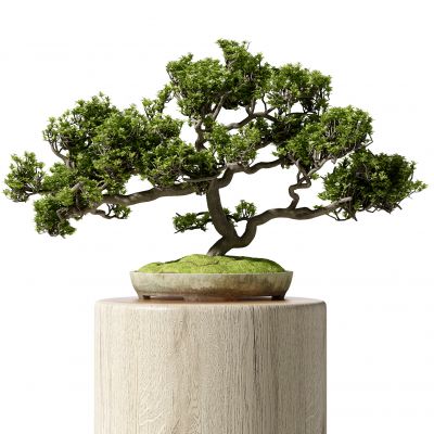 新中式盆栽摆件