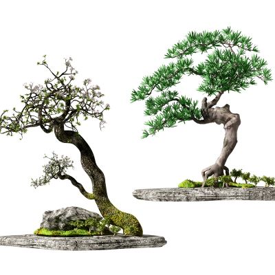 新中式盆景盆栽