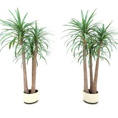 现代风格植物3D模型