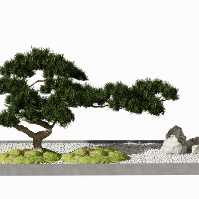 新中式植物盆栽