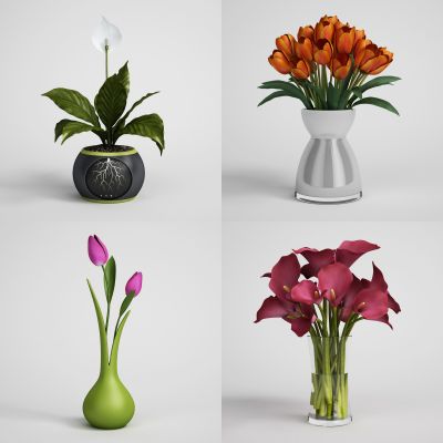 现代花 盆栽3D模型