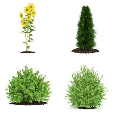 现代园林植物3D模型