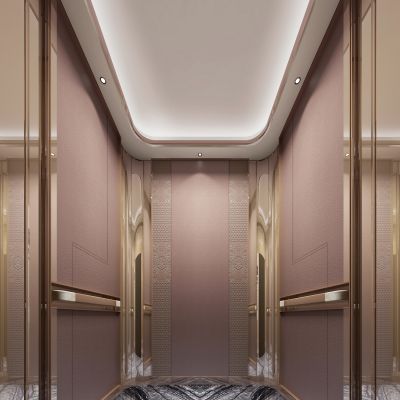 现代轻奢电梯轿厢3D模型