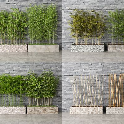 现代竹子，竹竿