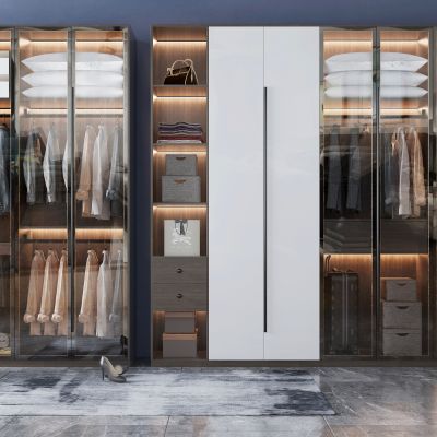 现代玻璃衣柜
