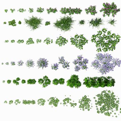 现代绿植灌木花草
