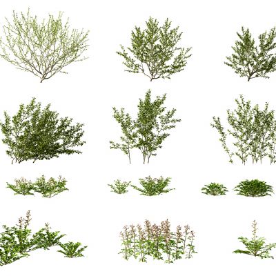 现代灌木花草,矮树