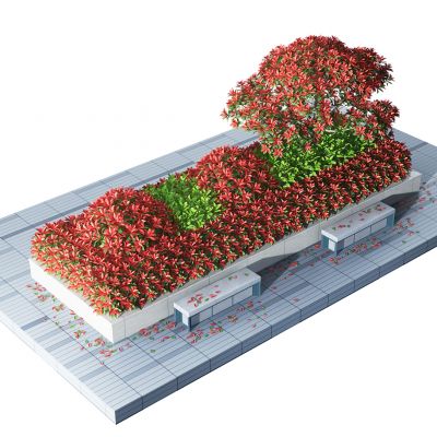 现代红叶石楠灌木