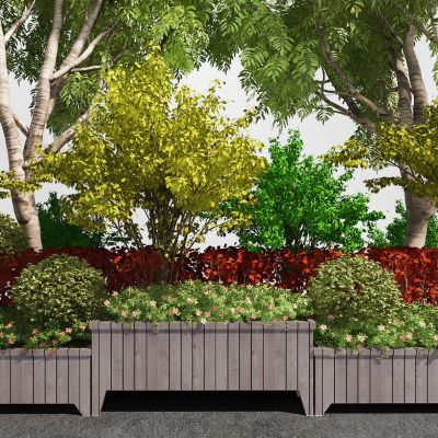 现代户外花槽景观树,花池