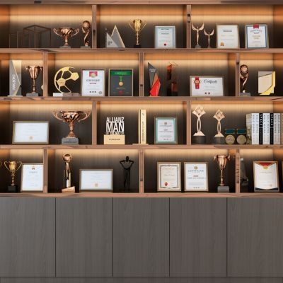 现代奖杯展示柜