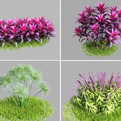 现代灌木花丛3D模型