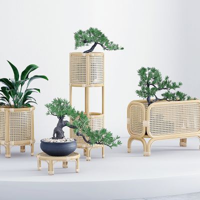 新中式藤编花架盆栽盆景