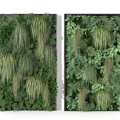 现代植物墙