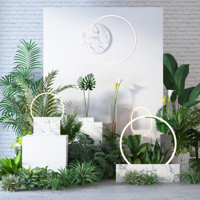 现代绿植组合