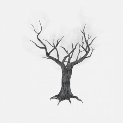 现代树木无叶枯树