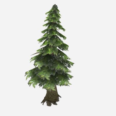 现代植物 灌木 树木 