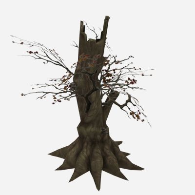 现代植物 枯树 树木 