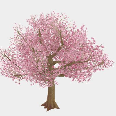 现代植物 灌木 红花树木 