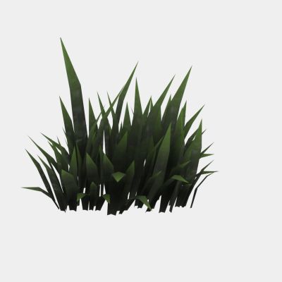 现代植物 花草 野草 