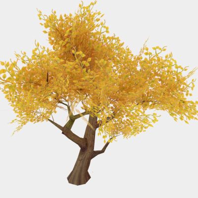 现代植物 灌木 秋季树木 